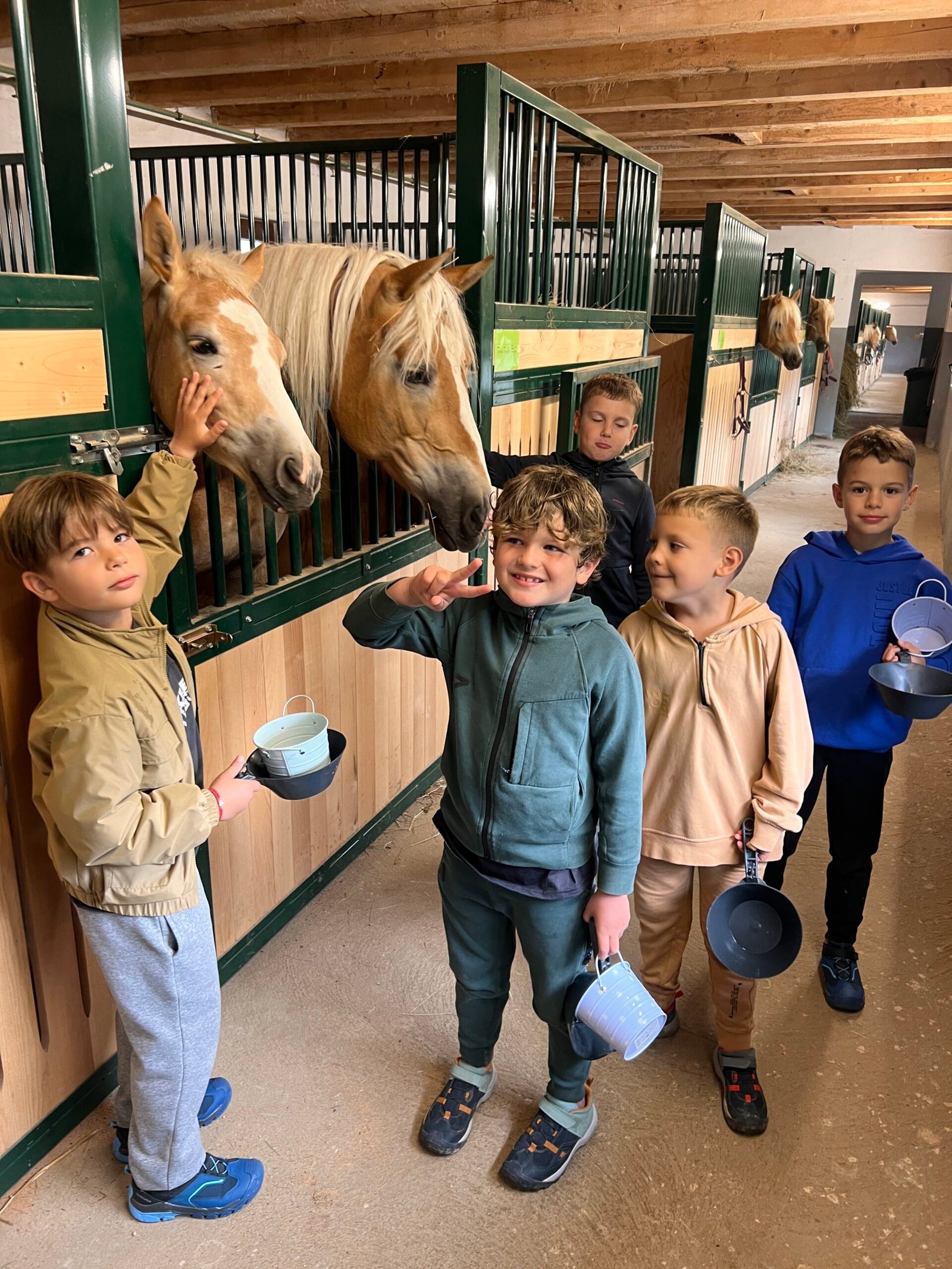 Tabără Forest Vară