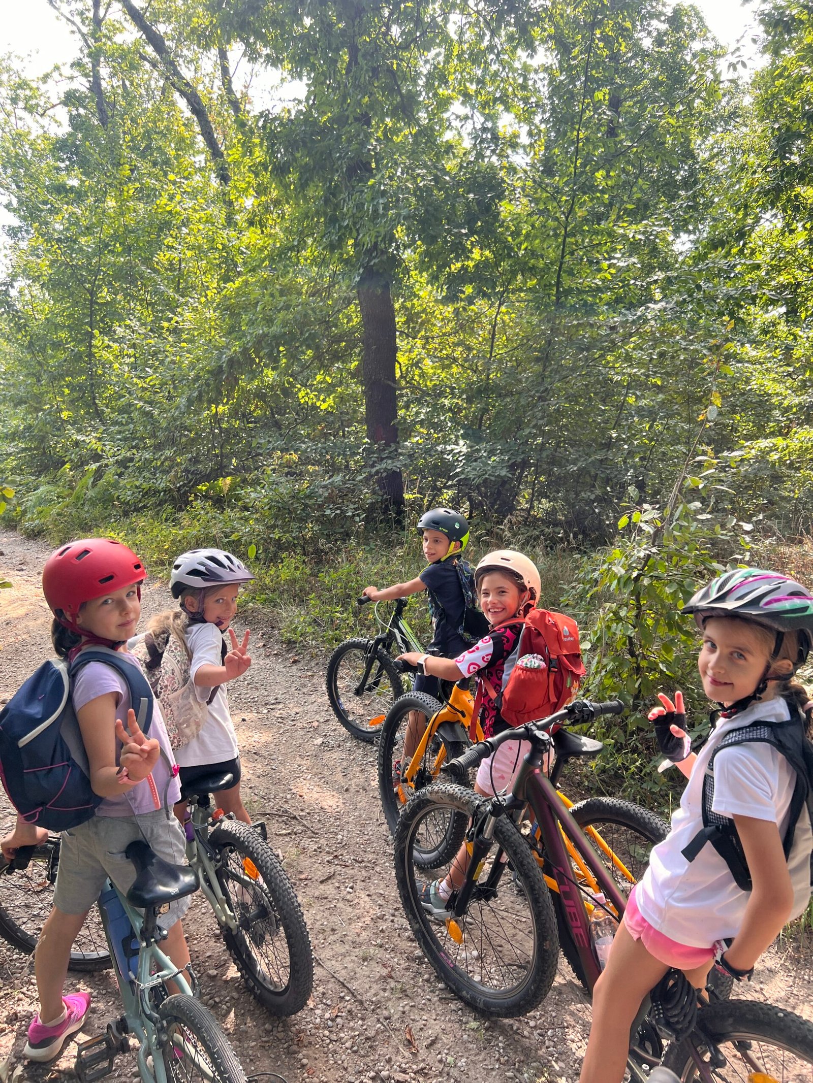 Tabără Forest Vară